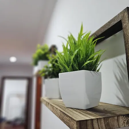 アパート A Dos Piscos