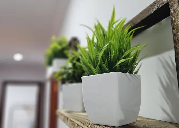 Apartament A Dos Piscos